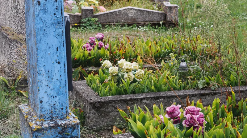 fleurs dans un cimetière